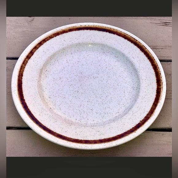 Mid Century Vtg Discontinued Homer Laughlin Speckled Stoneware Plate - Picture 6 of 8